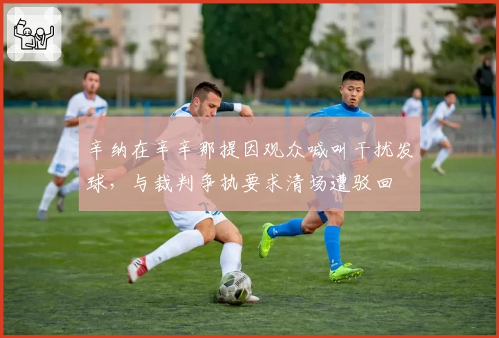 辛纳在辛辛那提因观众喊叫干扰发球,与裁判争执要求清场遭驳回