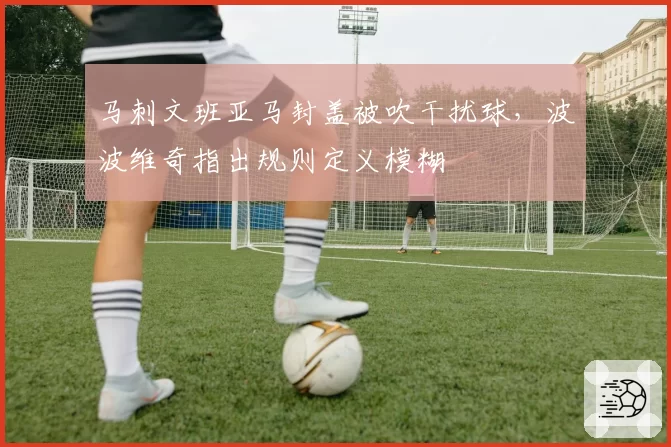 马刺文班亚马封盖被吹干扰球,波波维奇指出规则定义模糊