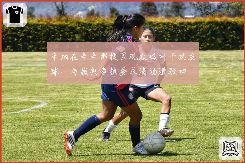 辛纳在辛辛那提因观众喊叫干扰发球,与裁判争执要求清场遭驳回