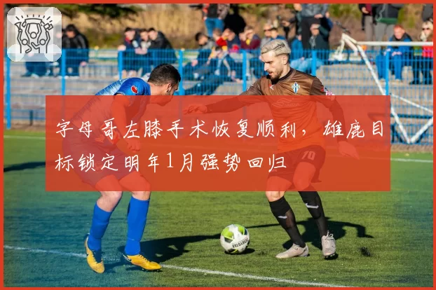 字母哥左膝手术恢复顺利,雄鹿目标锁定明年1月强势回归